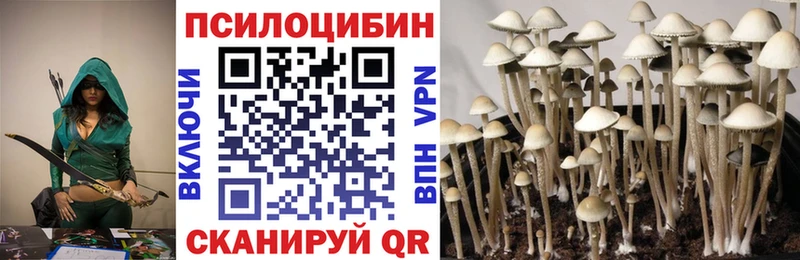 Псилоцибиновые грибы Cubensis  Борзя 